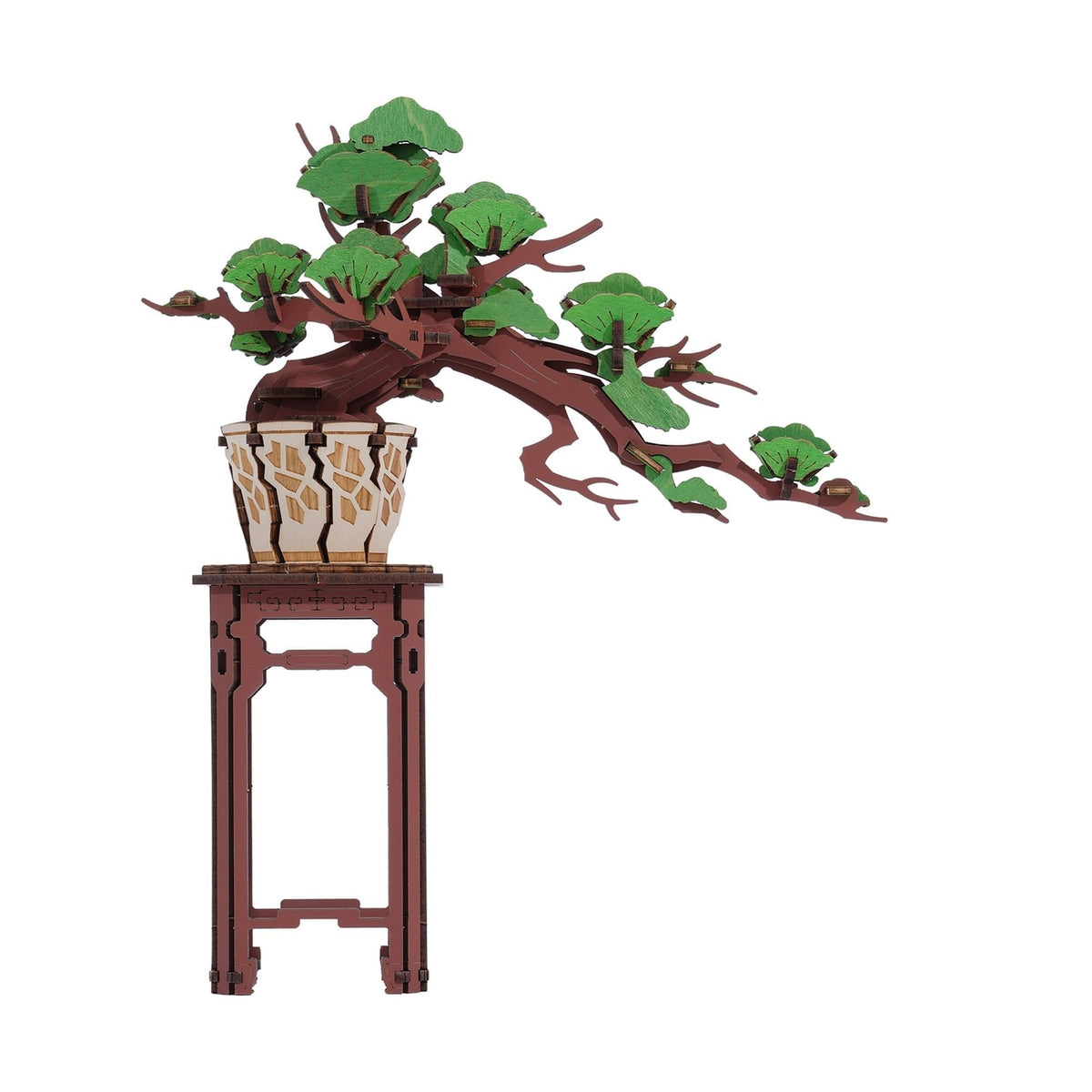 Evergreen Pine bonsai 3D wooden puzzle on its wooden stand