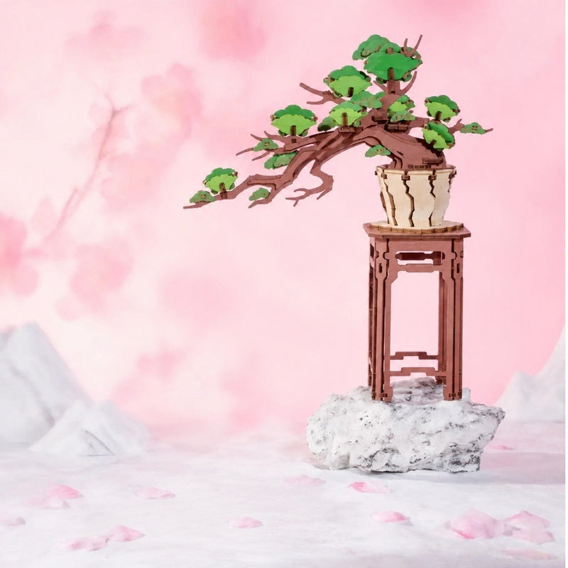 Evergreen Pine bonsai displayed on a rock, pink studiobackground
