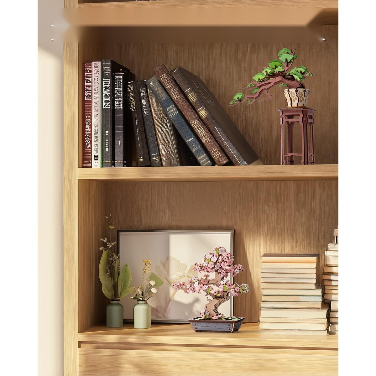 Evergreen Pine bonsai on a bookshelf next to books