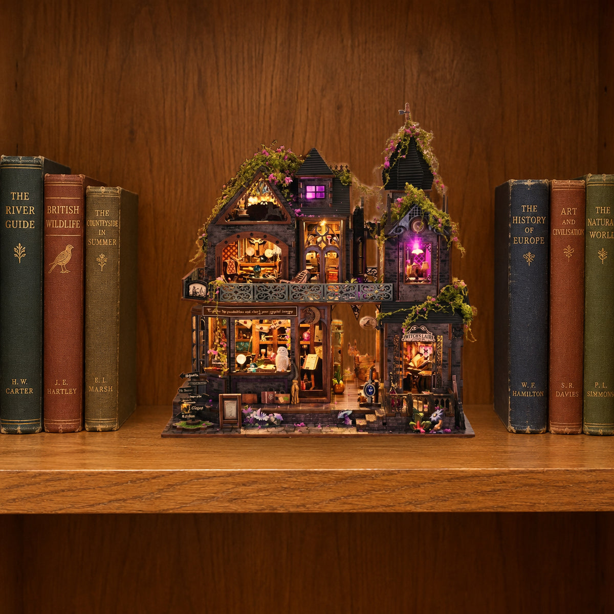Witch's Lair miniature kit standing on a bookshelf beside old books